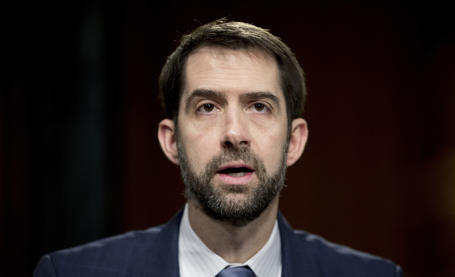 Sen. Tom Cotton: AHCA is ‘fixable’