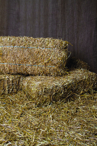 A D.C. firefighter accused of stealing bales of hay from a farm is back on the job. (Getty Images)