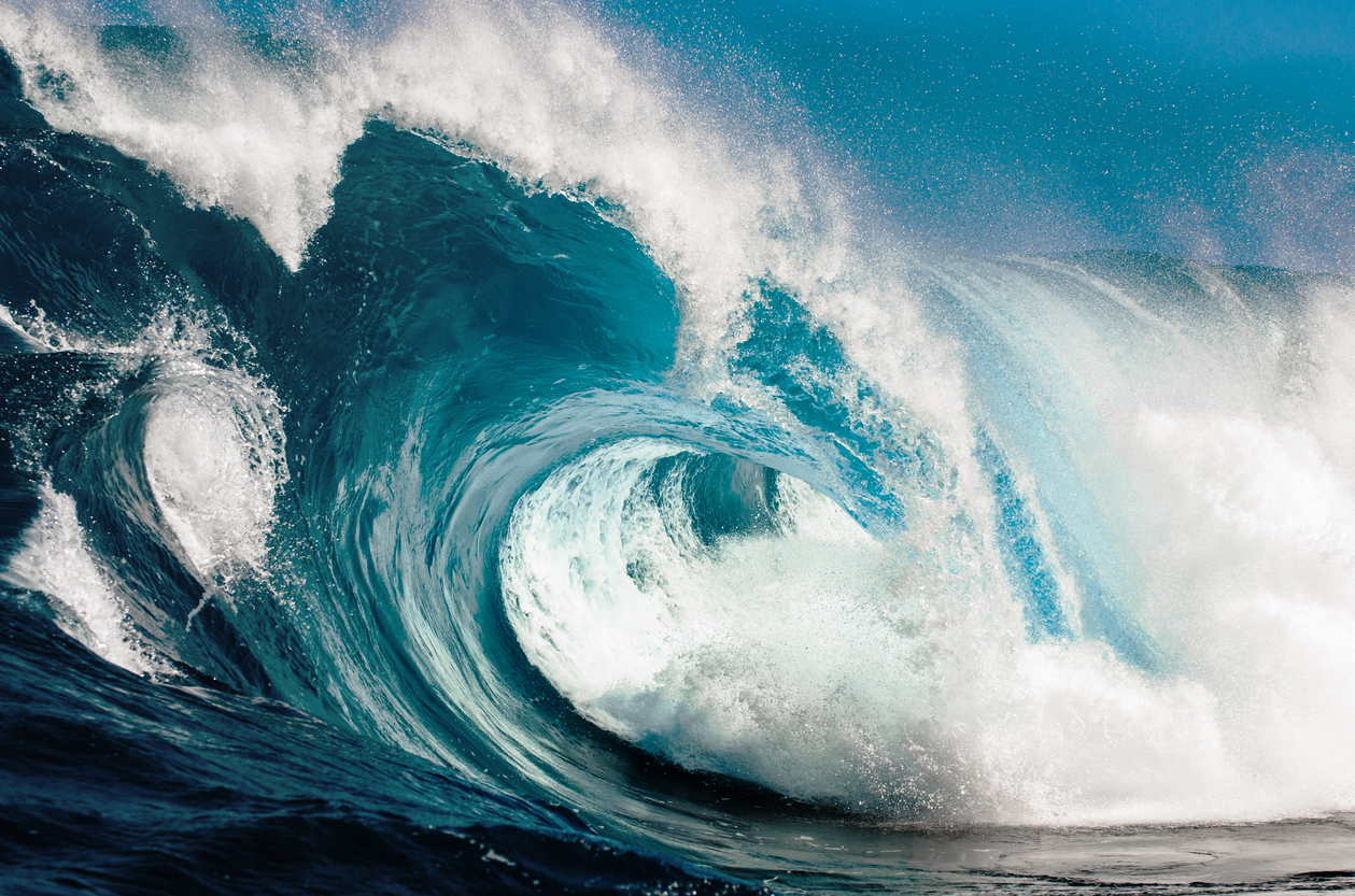 No sign of an impending ‘wave’ election
