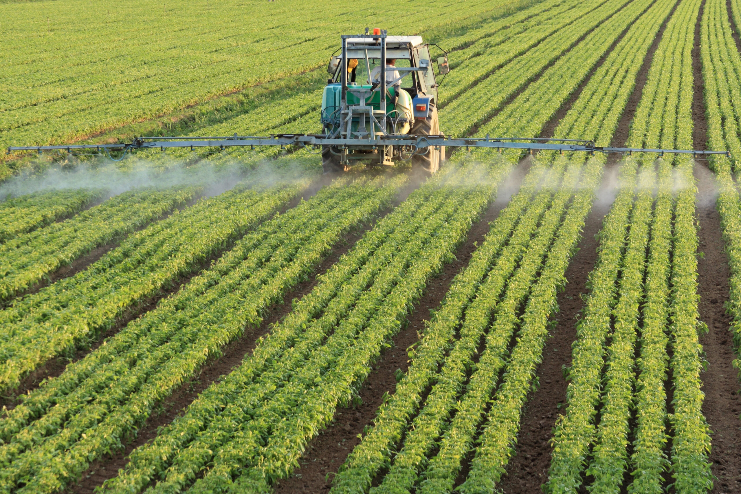 Hoped-for deal on farm bill eludes lawmakers this Thanksgiving break