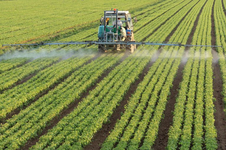 Hoped-for deal on farm bill eludes lawmakers this Thanksgiving break
