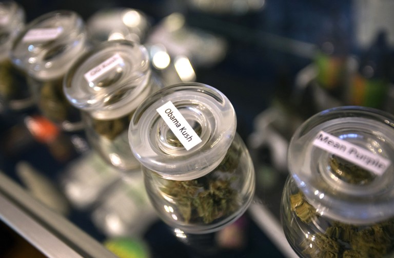 Obama Kush, a type of marijuana available for recreational purchase, is displayed at Twenty After Four Wellness Center in Eugene, Ore. Several states will have pot legalization measures on the ballot in 2016. (The Register-Guard via AP)Â 