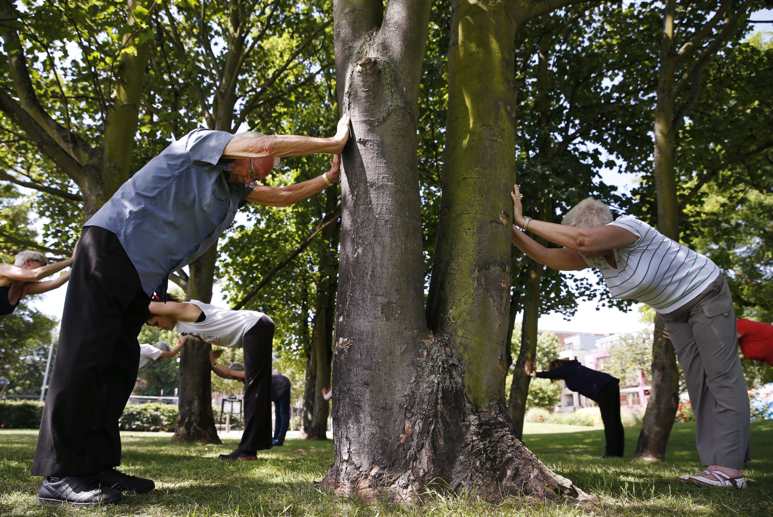 Seniors learn “parkour,” sport of daredevil youths