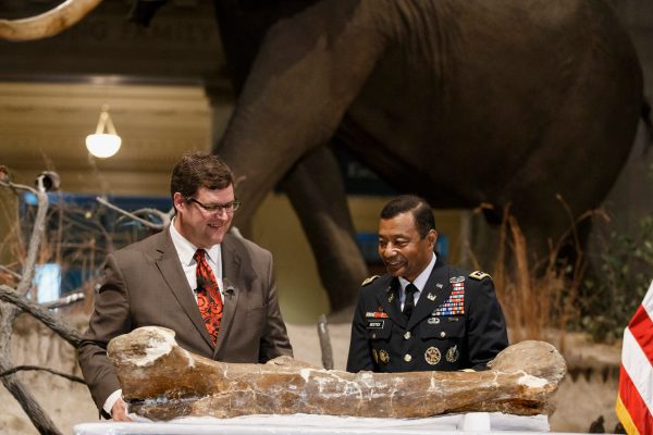 T. rex gets new home in Smithsonian dinosaur hall
