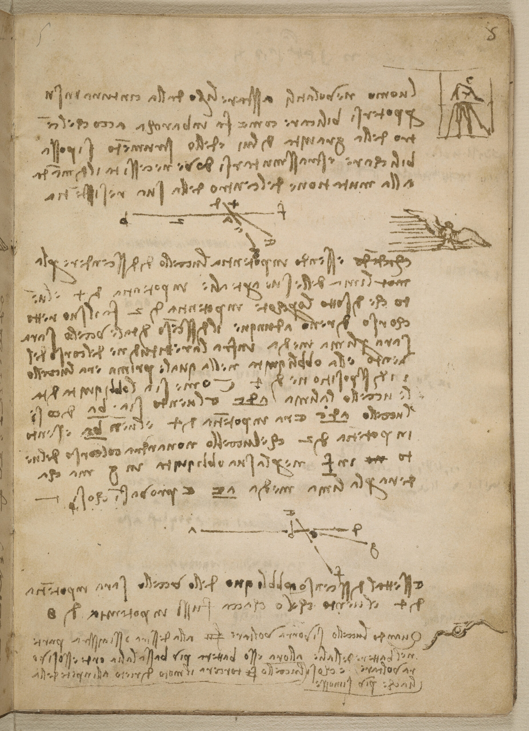 Da Vinci’s study of flight to visit Smithsonian