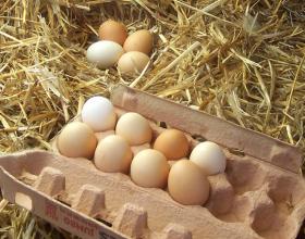 Happy Earth Day to the Entrepreneurs!