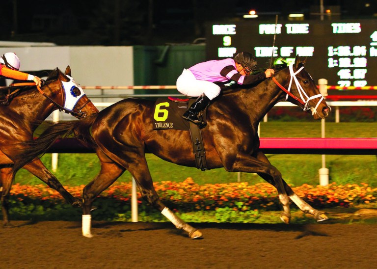 Benoit Photo/AP
Violence, trained by Todd Pletcher, is undefeated in three career races and is an early favorite in the 2013 Kentucky Derby.