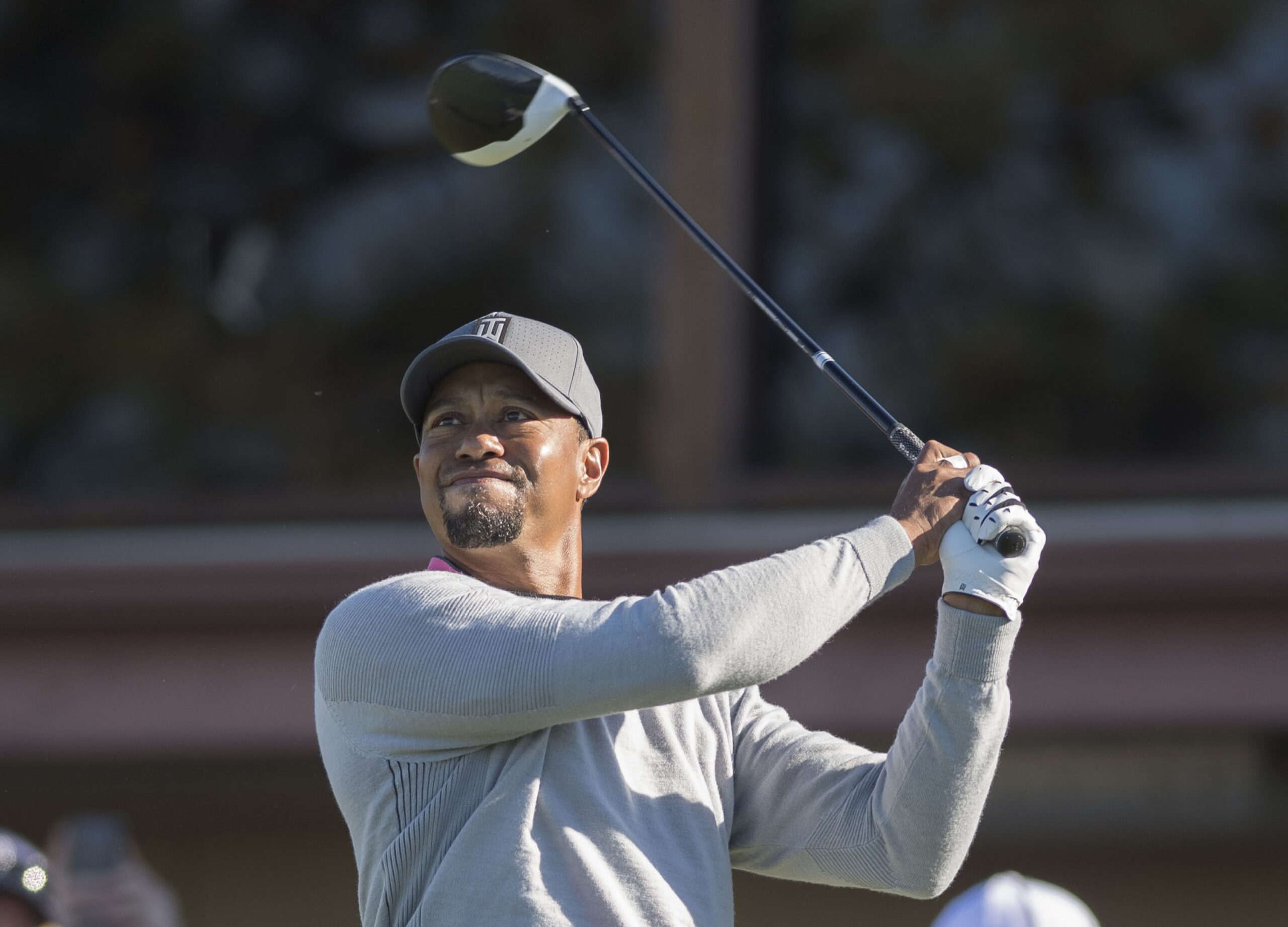 Return of the Tiger?