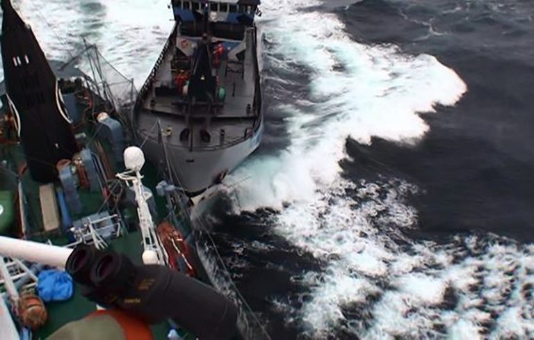 In this Feb. 2, 2014 photo provided by the Institute of Cetacean Research, Japanese whaling vessel Yuhsin Maru No. 3, left, and Sea Shepherd's the Bob Barker' collide in the remote, icy seas off Antarctica. No one was injured, though both ships received minor damage in the Sunday's collision - the latest drama in an annual battle between the conservationists and the whalers. Both sides are blaming each other for the crash. (AP Photo/The Institute of Cetacean Research) MANDATORY CREDIT, EDITORIAL USE ONLY