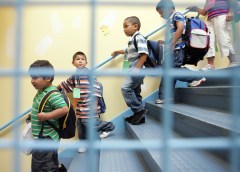 The Left seeks to homogenize education in pursuit of equality over excellence
