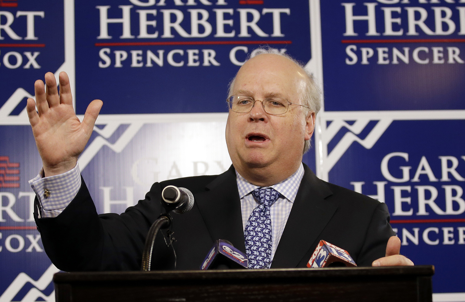 Karl Rove: GOP has ‘fighting chance’ to keep House majority