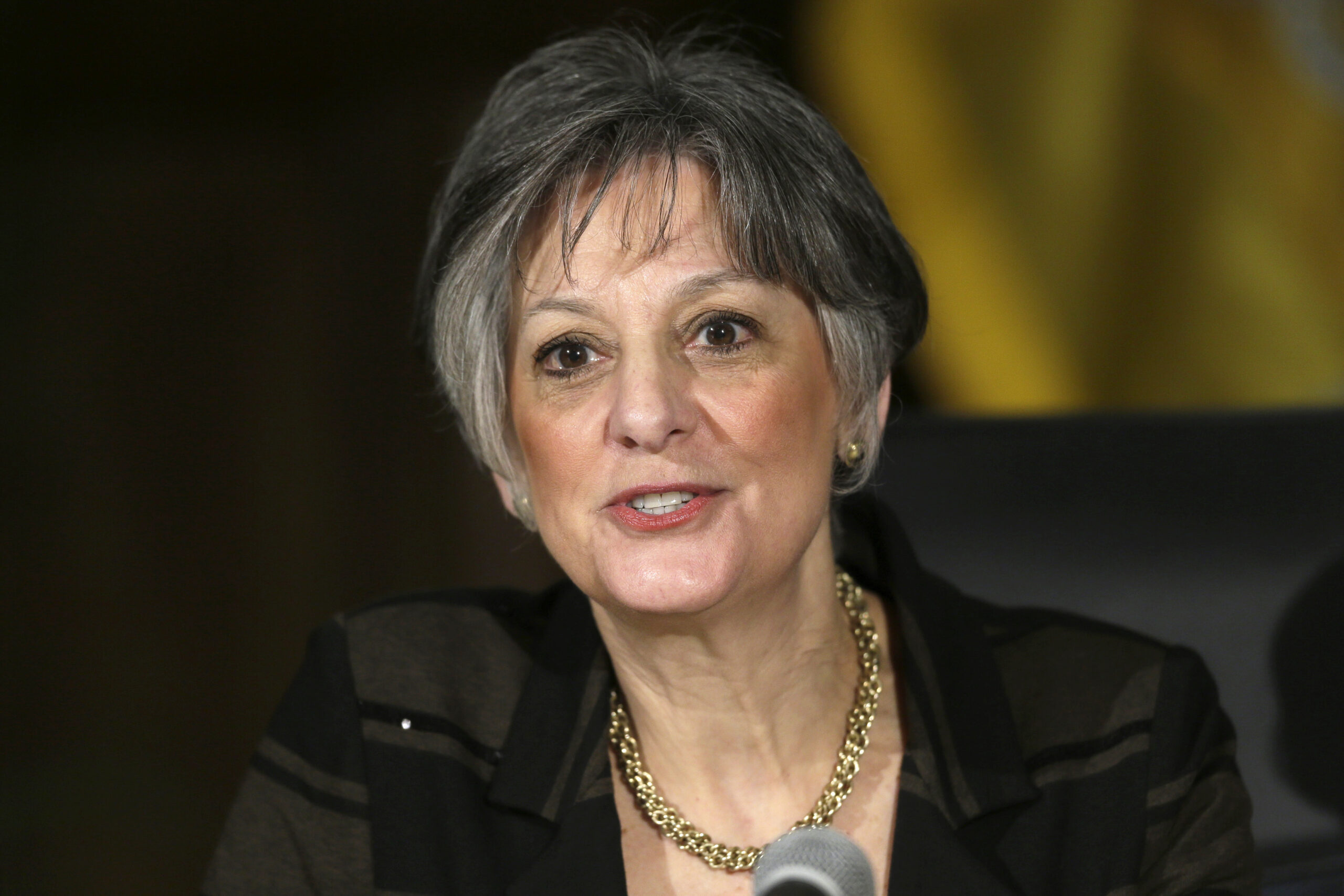 Campaign: Allyson Schwartz raises $6.5m in bid for Pennsylvania governor