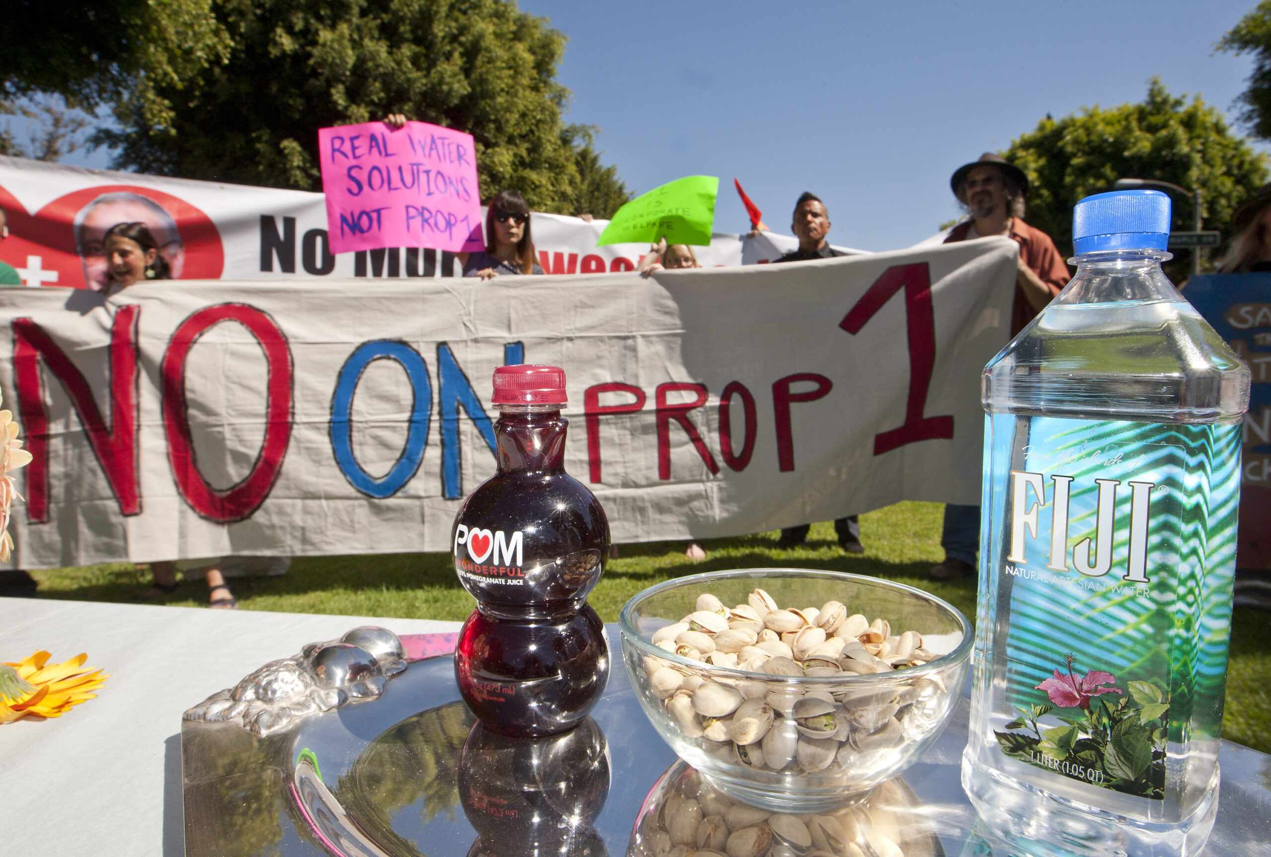 Environmentalists divided over water projects
