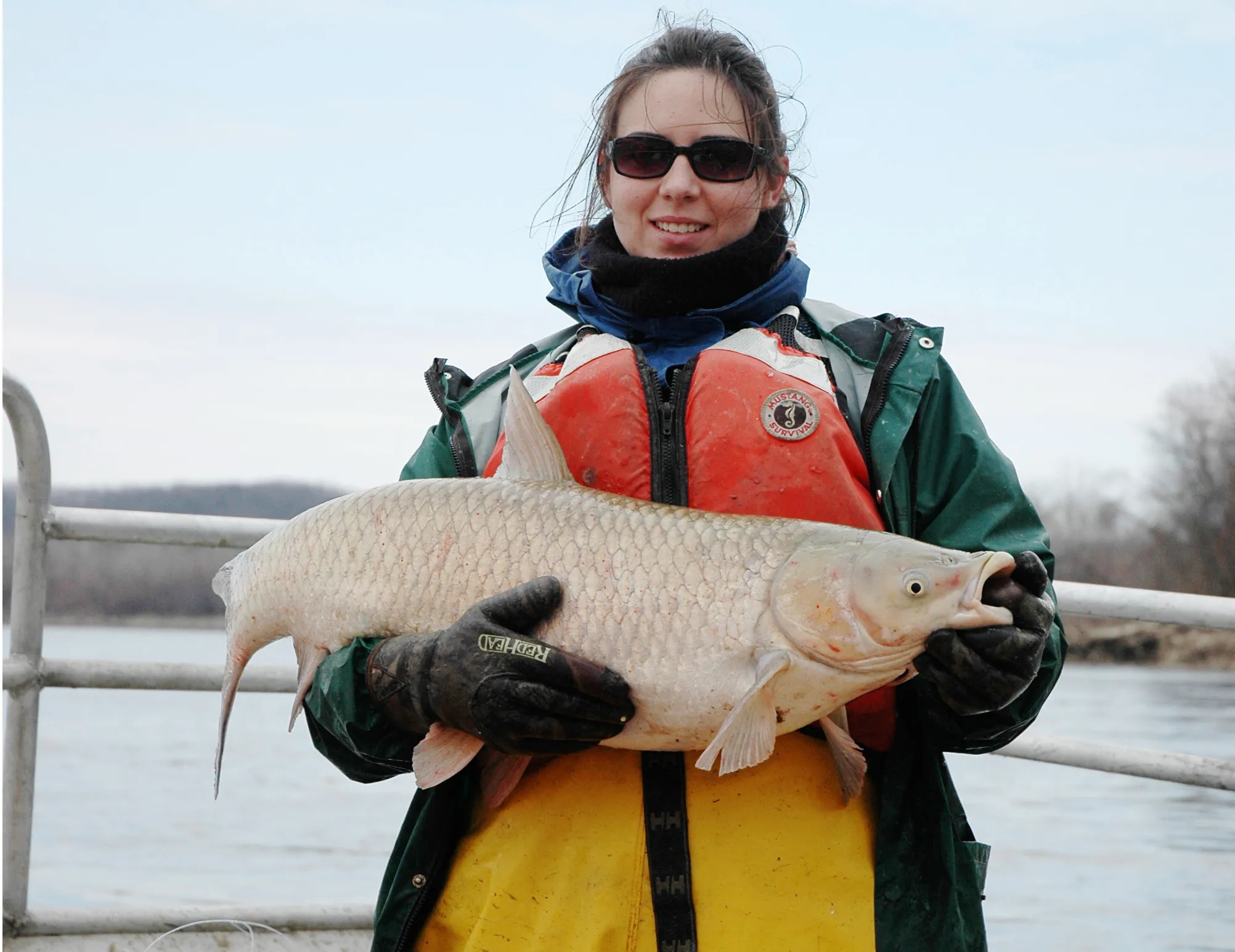 Asian carp reproduce in Great Lakes watershed