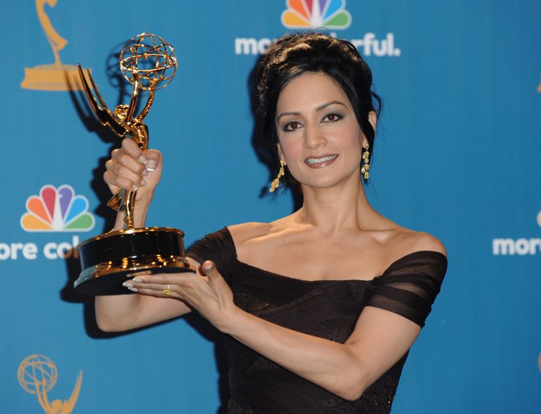 LOS ANGELES, CA - AUGUST 29:  Actress Archie Panjabi poses in the press room at the 62nd Annual Primetime Emmy Awards held at the JW Marriott Los Angeles at L.A. Live on August 29, 2010 in Los Angeles, California.  (Photo by Alberto E. Rodriguez/Getty Images)