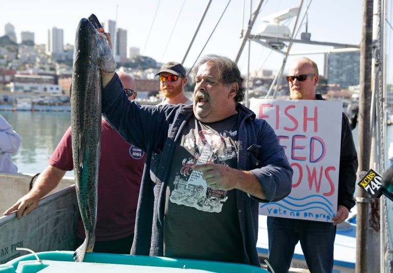 Larry Collins of the San Francisco Crab Boat Association holds up a salmon during a protest against Proposition 1 the state water bond at Fisherman's Wharf Friday, Oct. 3, 2014, in San Francisco. Worried that drought and climate change will make northern California's American river too warm for Chinook salmon to spawn, California wildlife officials are installing underwater chillers and considering artificial fertilization for the fish. Collins said at the protest that anything to help keep the water cooler is good for the fish. (AP Photo/Eric Risberg)