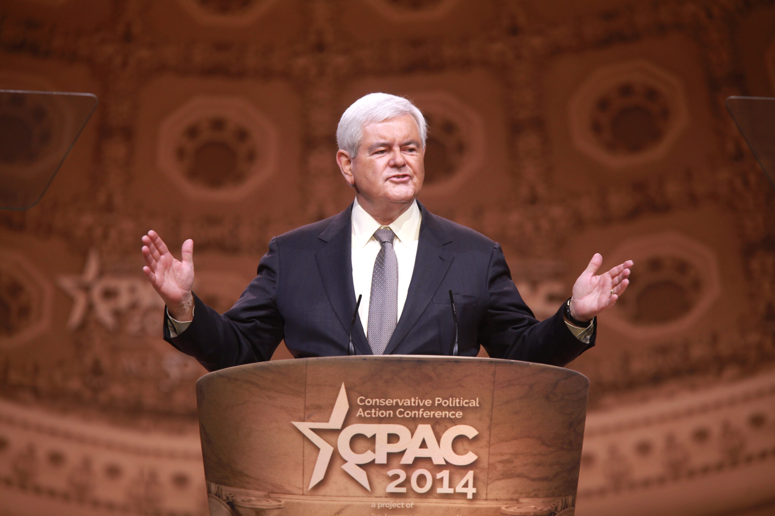 Gingrich Bashes ‘Idiots’ in the ‘Propaganda Media’