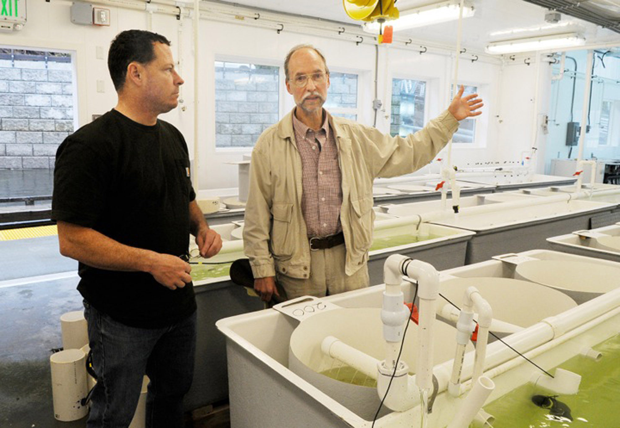 Oyster seed shortage in Alaska slows industry