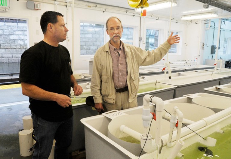   In this June 28, 2012 photo, Dave Shupert, left, shellfish biologist and Tom Henderson, Mariculture Director, stand by the silos that contain oyster seed at the new OceansAlaska mariculture research and training facility in Ketchikan, Alaska. (AP Photo/Ketchikan Daily News, Hall Anderson)  