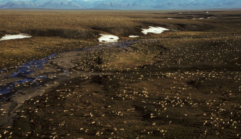 Sen. Lisa Murkowski, R-Alaska, chairwoman of the committee, said the Senate Budget Committee's resolution on the Arctic National Wildlife Refuge (pictured above) opens the door to increased jobs and energy security. (U.S. Fish and Wildlife Service via AP, file)