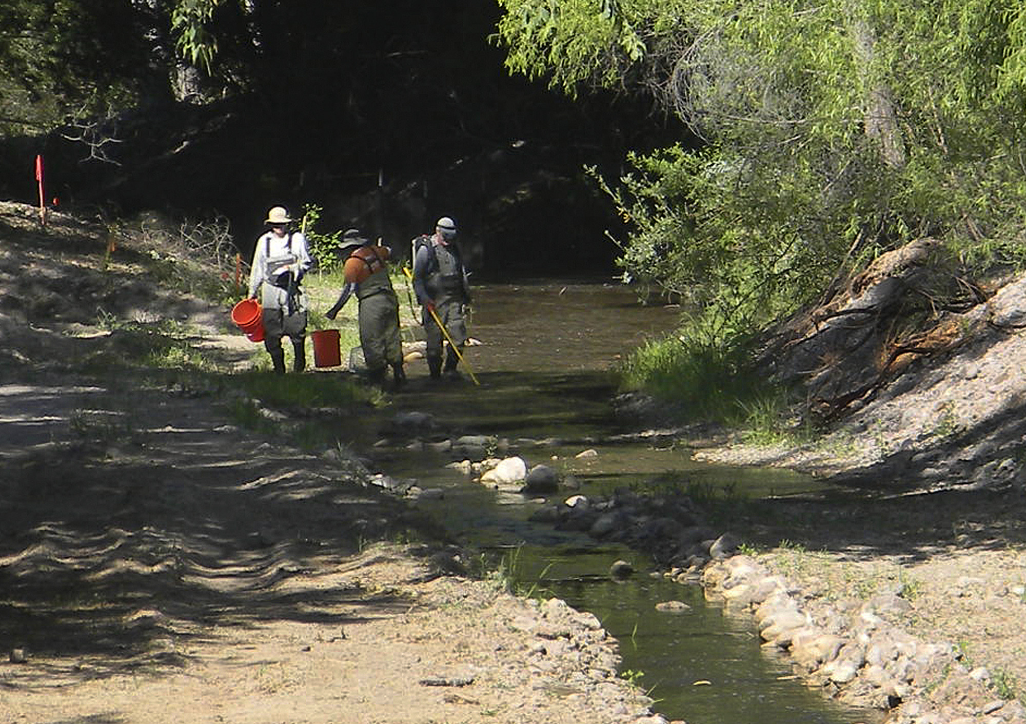 Massive NM fire prompts rescue of threatened fish