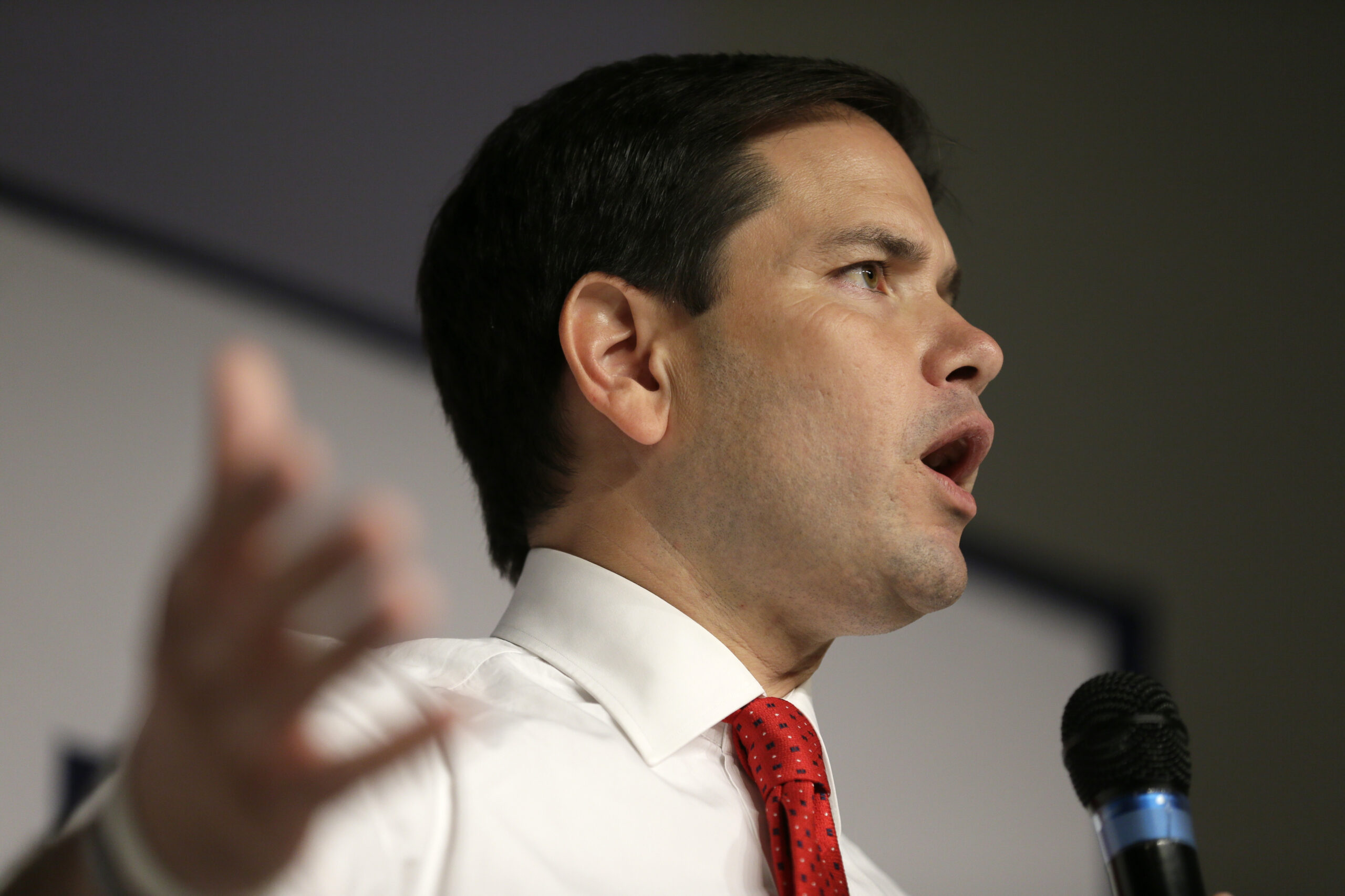 Rubio ‘puzzled’ by Cruz attacks