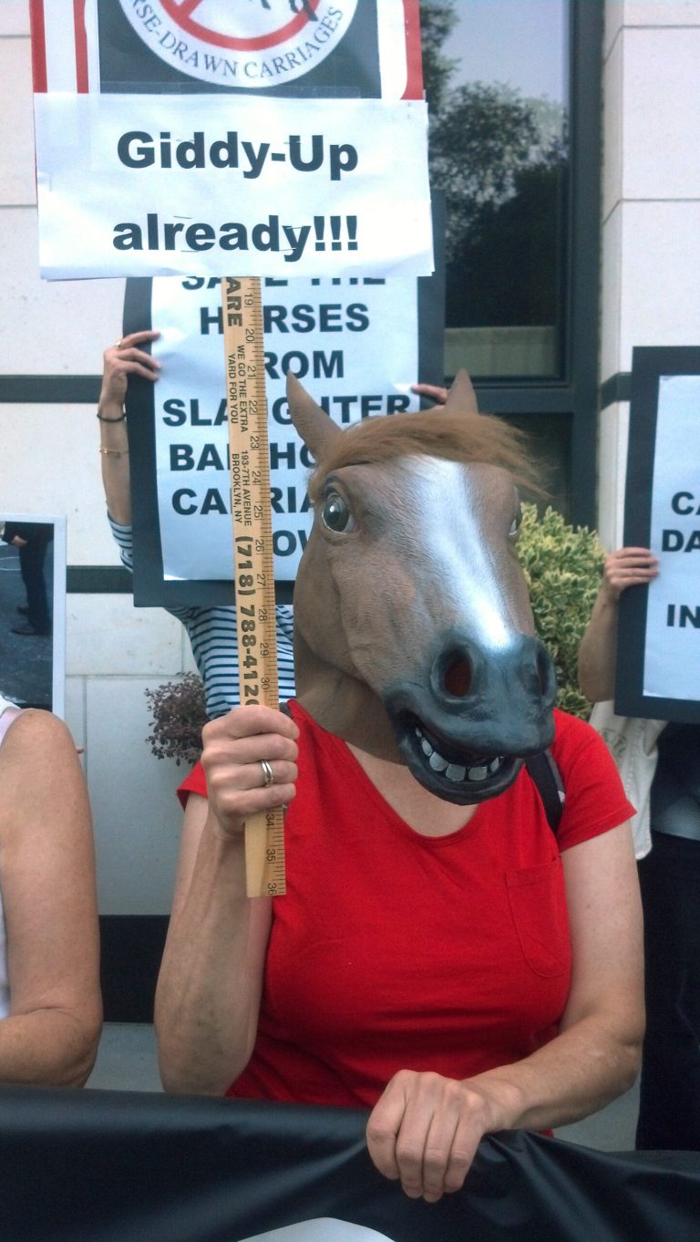 Activists urge NYC mayor to ban carriage horses