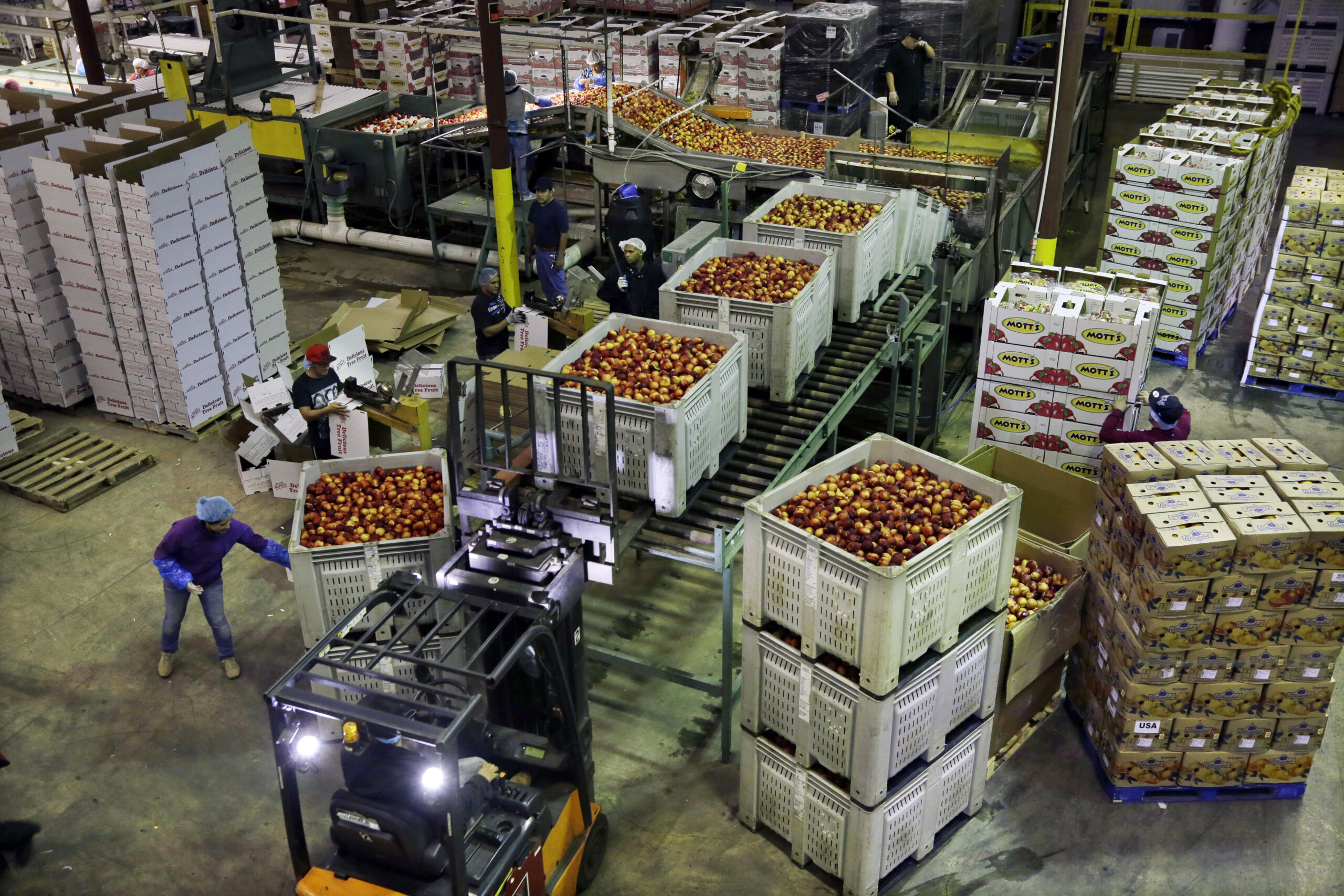 Inflation rises to 0.8% in July in producer price index