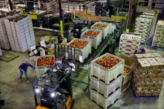 Inflation fell to 2.3% in April, producer price index shows in encouraging sign