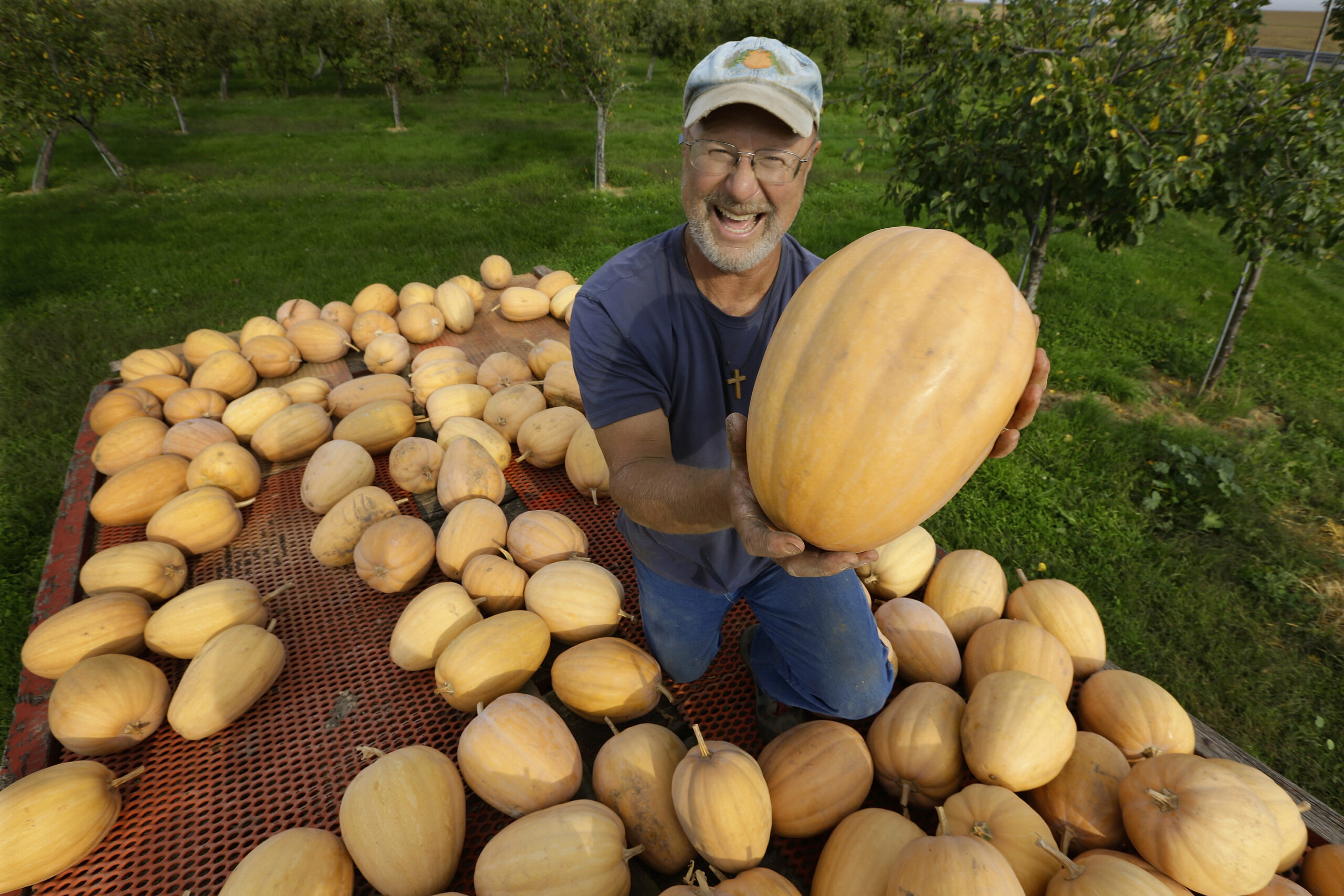 One town has its hand in 1000s of pumpkin pies