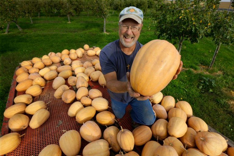One town has its hand in 1000s of pumpkin pies