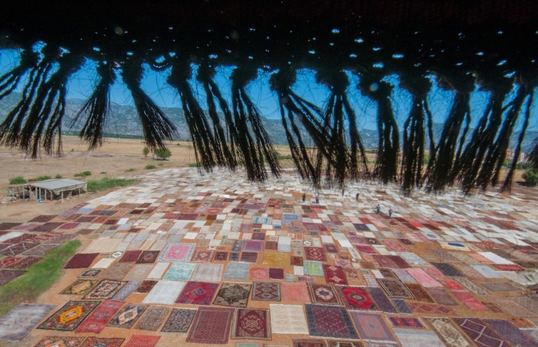 Rug Money