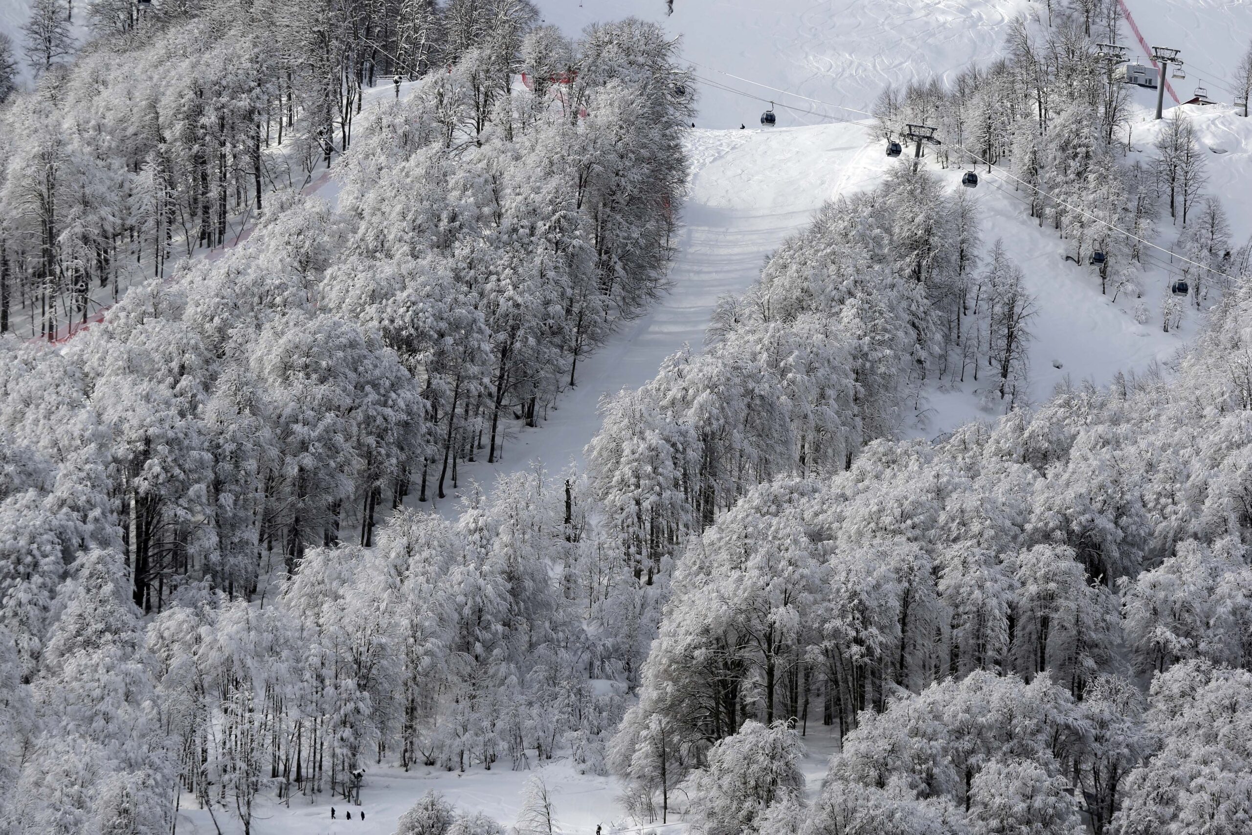 SOCHI SCENE: White peaks