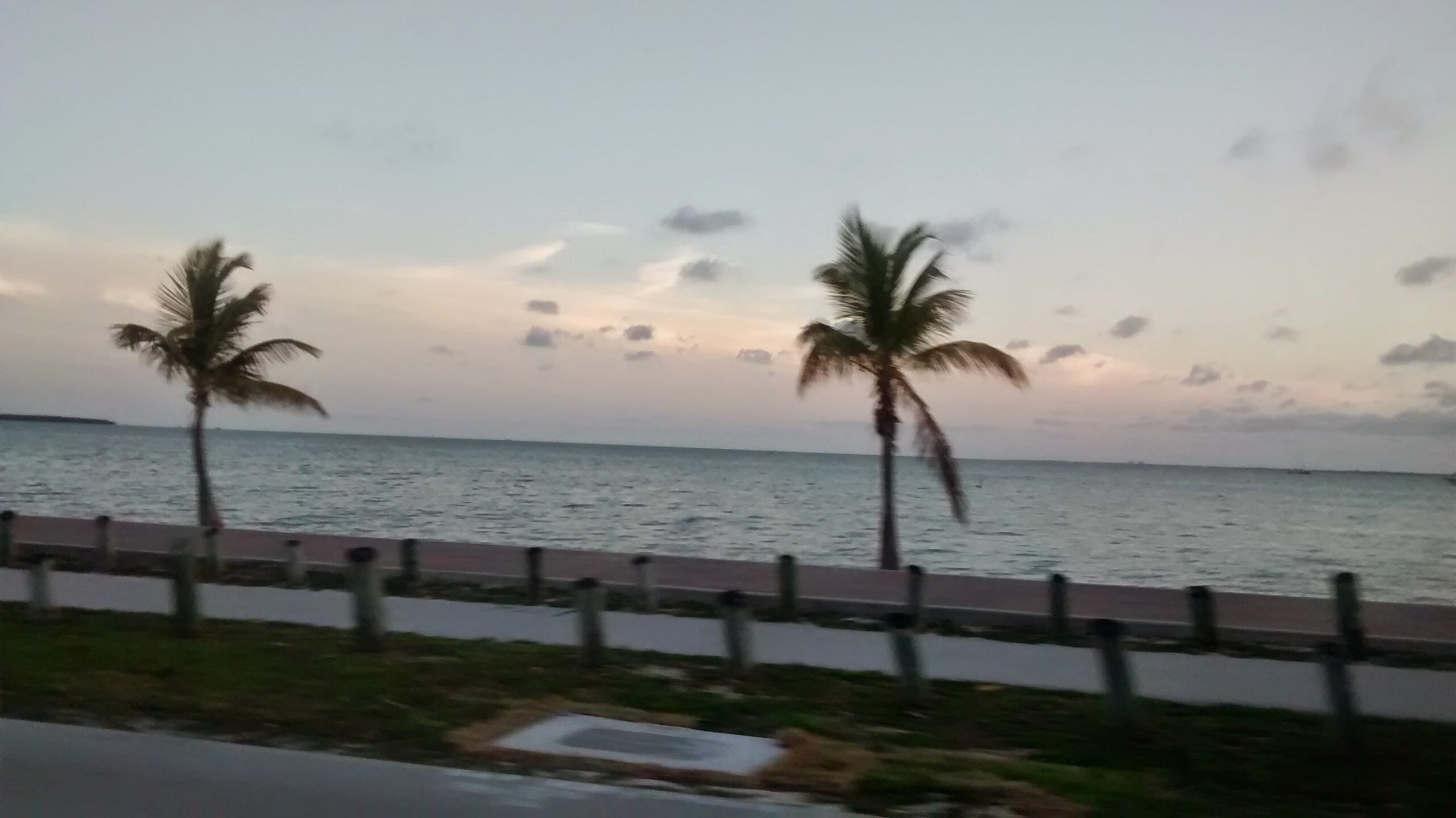 Killer Summer Reading