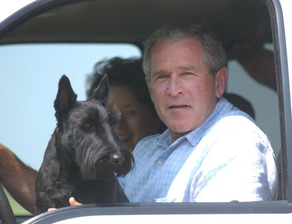 Cheney’s dog was banned for attacking Barney