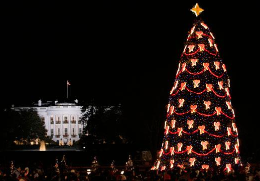 How Christmas trees explain why our economy stinks