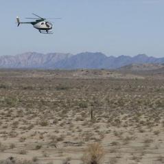 DOJ Files Suit to Block AZ Immigration Law