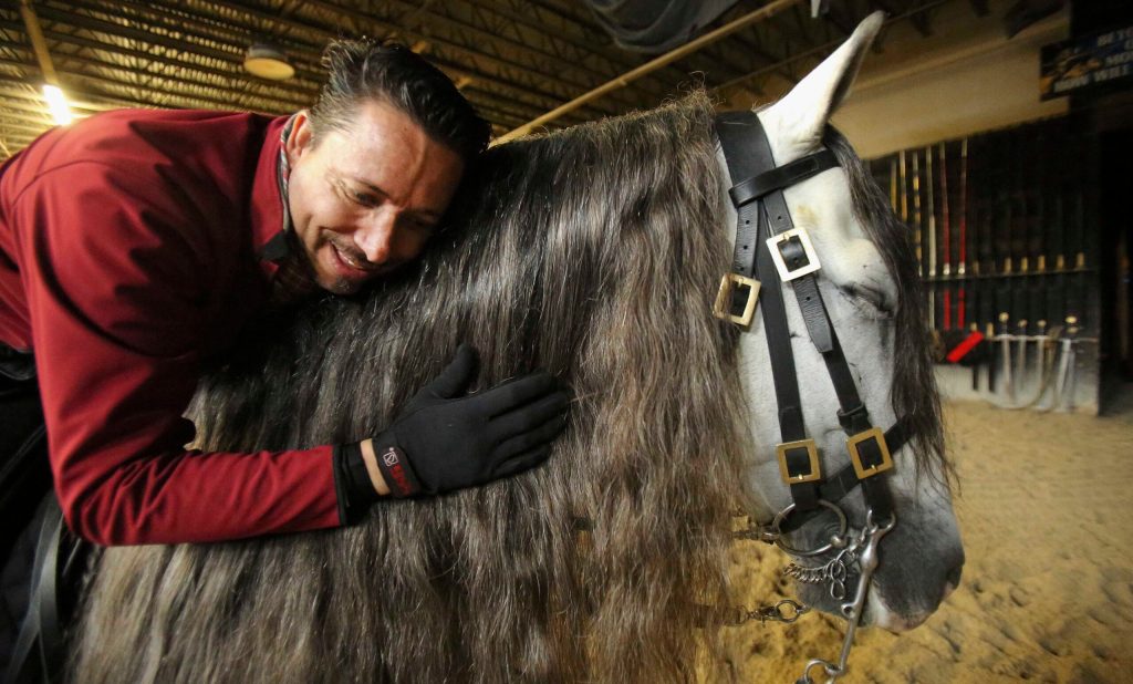 EXCHANGE: Elgin man trains ‘Medieval’ stallions