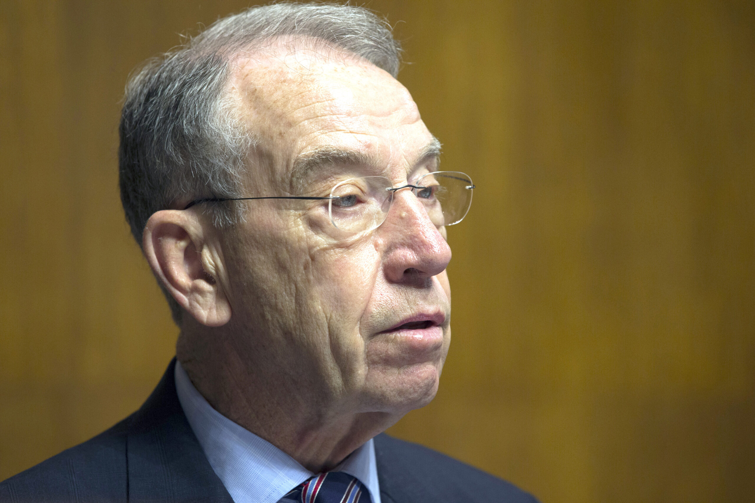 Republican senators demand votes on additional immigration amendments