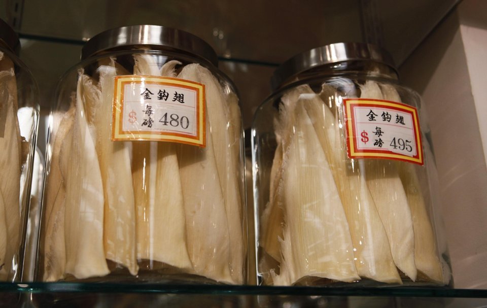 Court backs shark fin ban, undercuts Obama’s bid to drown law