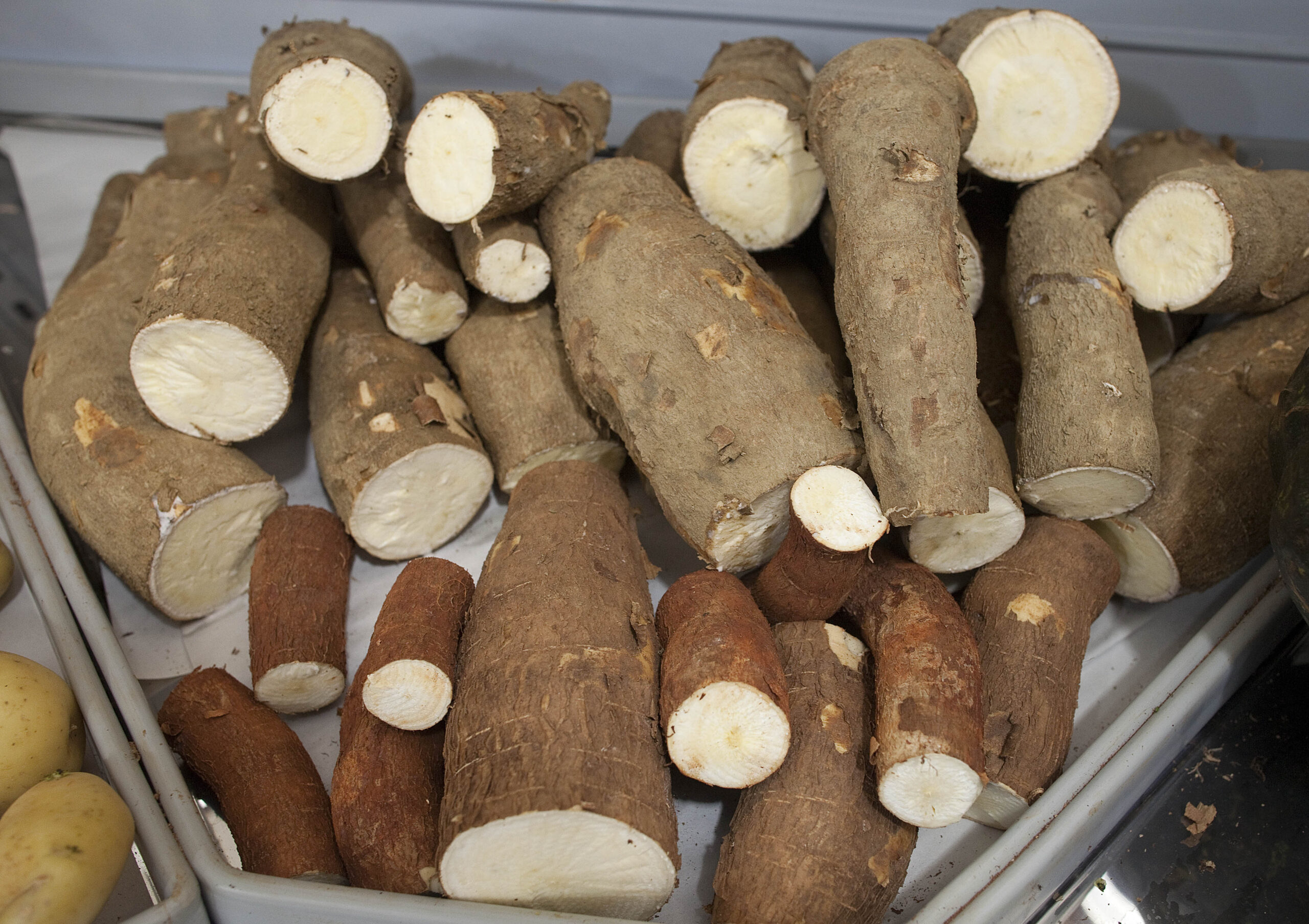 Brazil’s humble manioc gets deluxe rebirth