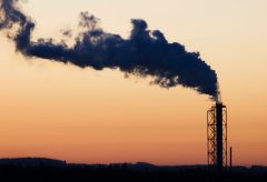 With program’s future in doubt, WA’s first carbon auction of 2024 raises almost $192M