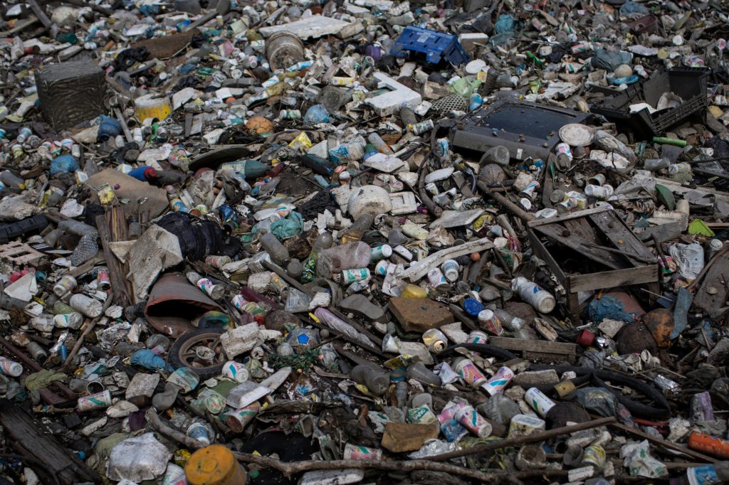 Sailing official wants Rio water pollution tests