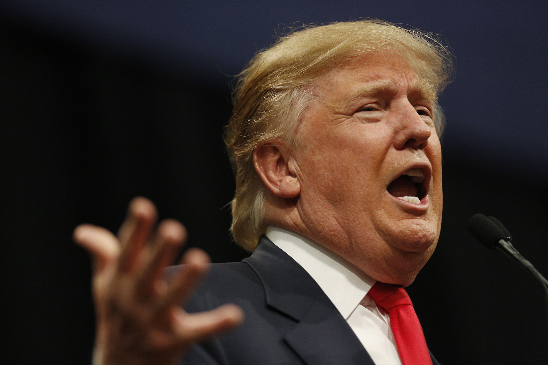 Trump on ex-Breitbart reporter: ‘Can I press charges?’