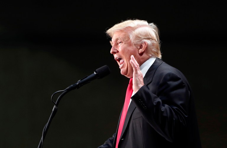 A member of the Federal Election Commission is calling on President Trump to share any evidence he may possess of voter fraud during the 2016 election. (AP Photo/Gerald Herbert, File)