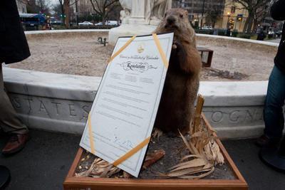 A taxidermied 