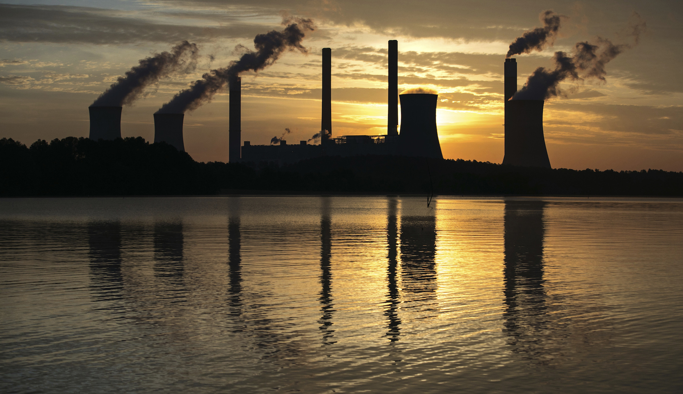 The troubling links between environmentalists and population control extremists