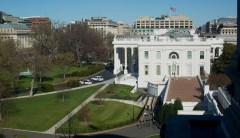 Mercedes Schlapp in talks to join White House press team