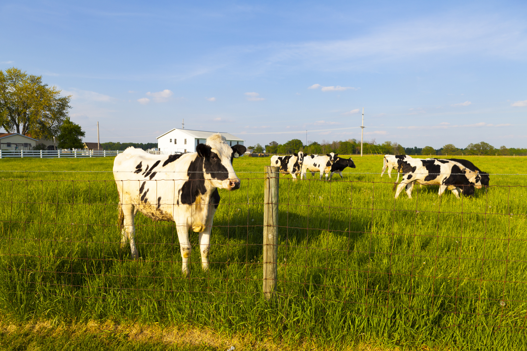 Farm bill negotiations stalled as end-of-month deadline looms