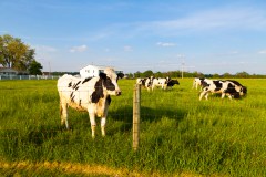 Senators concerned over growing agricultural trade deficit